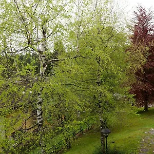 Relax Sull'altopiano Di Asiago Gallio